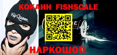 крисы Партизанск