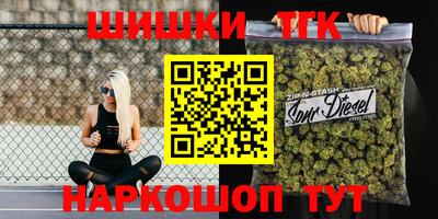 крисы Партизанск