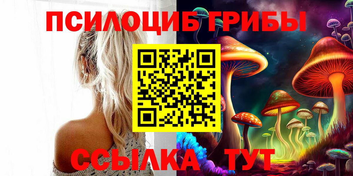 Галлюциногенные грибы Magic Shrooms Саяногорск